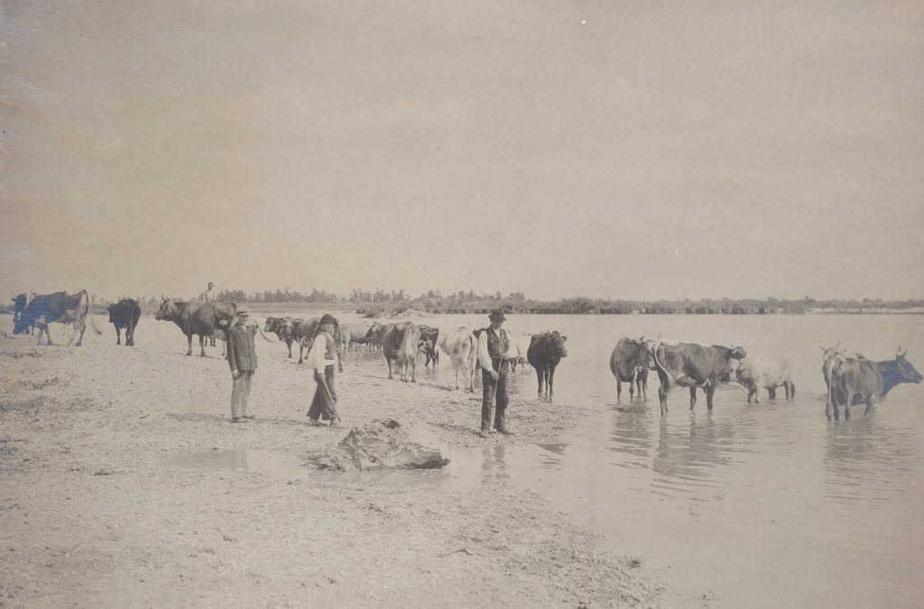 Na Savi oko 1903. godine (Foto Josip Kokalj)